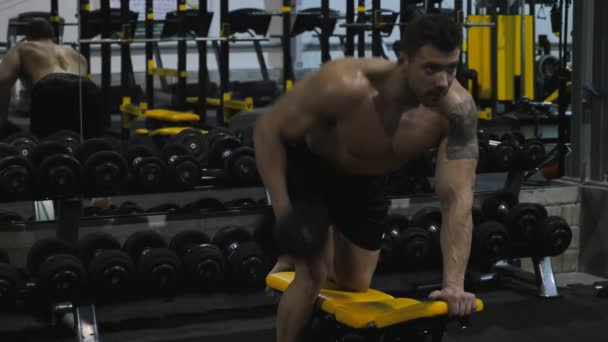 Bodybuilder exercising with weights — Stock Video