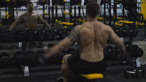 Bodybuilder exercising with weights — Stock Video