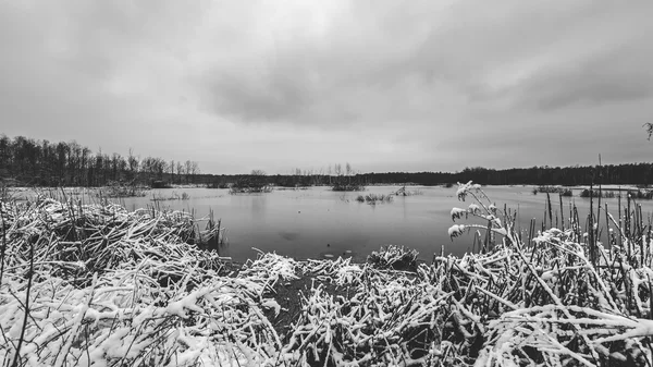 Mrazivý zimní den u jezera — Stock fotografie
