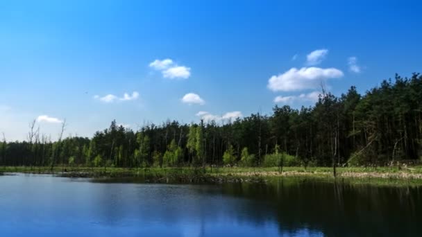 Paisagem polaca - timelapse — Vídeo de Stock