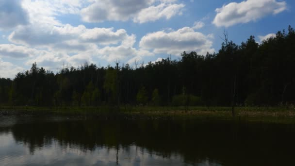 Польский пейзаж. Солнечный день на озере — стоковое видео
