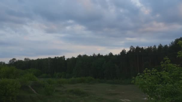 Paisaje polaco. Bosque al atardecer — Vídeos de Stock