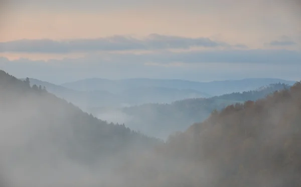 Montagnes Bieszczady dans la brume à l'aube — Photo