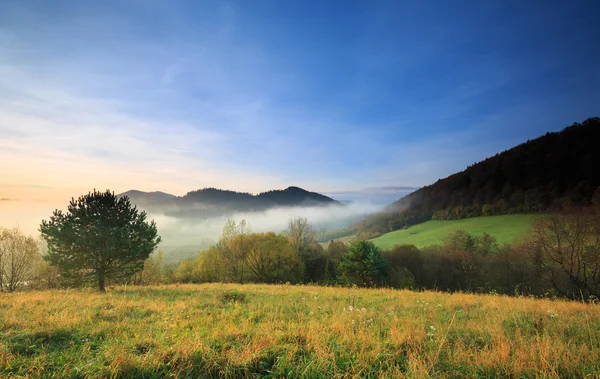 日出在 Bieszczady 山 — 图库照片