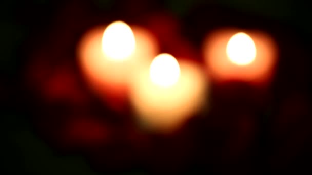 Valentine's Day red roses and candles.Variable focus — Stock Video