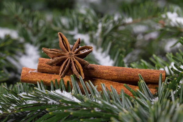 Kerstmis kruiden, kaneel en steranijs — Stockfoto