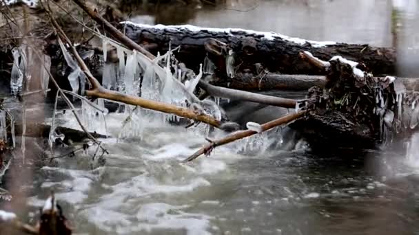 Ghiaccioli sul torrente — Video Stock