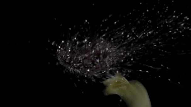 Ballong med konfetti explosion i slow motion — Stockvideo