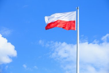 Mavi gökyüzü arka plan üzerinde Polonya bayrağı