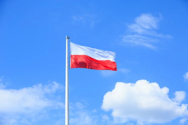 Drapeau polonais sur fond de ciel bleu — Photo