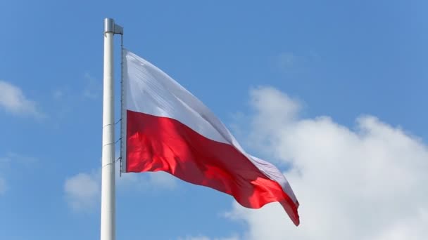 Bandera polaca ondeando en el viento — Vídeos de Stock