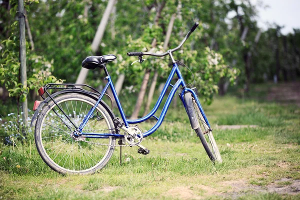 Altes Fahrrad im Obstgarten — Stockfoto