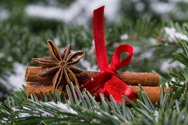 Especiarias de Natal, canela e anis estrelado — Fotografia de Stock