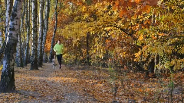 Άνθρωπος που τρέχει το φθινόπωρο δάσος με το σκυλί του Λαμπραντόρ — Αρχείο Βίντεο