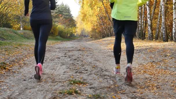 Mann und Frau rennen in Zeitlupe durch den herbstlichen Wald — Stockvideo