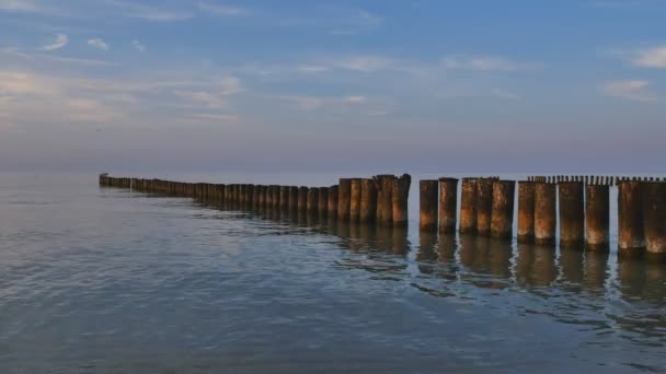 Labrador hond spelen in de zee — Stockvideo