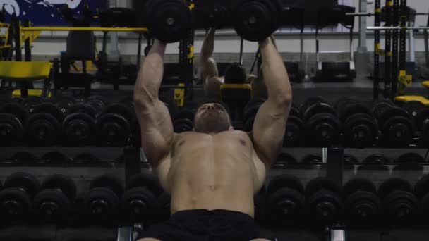 Bodybuilder oefenen met gewichten — Stockvideo