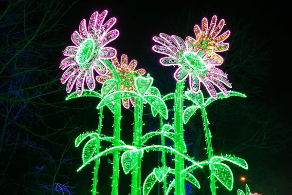 Iluminações de Natal no parque em Wilanow, Varsóvia — Fotografia de Stock