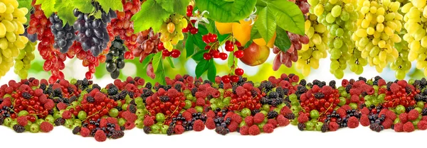 Sok gyümölcsöt képet közelről — Stock Fotó