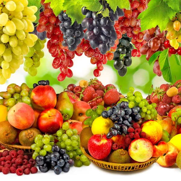 Afbeelding van vruchten in een tuin close-up — Stockfoto