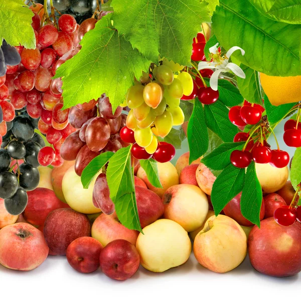 Image of ripe fruit in the garden — Stock Photo, Image