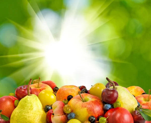 Image of various ripe fruits and berries closeup on a green background — Stock Photo, Image