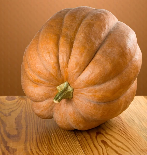 Image of a ripe pumpkin close up — Stock Photo, Image