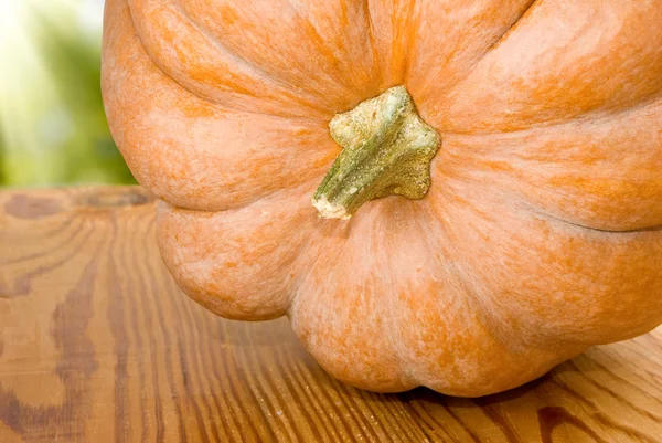 Image of a ripe pumpkin close-up — Stock Photo, Image
