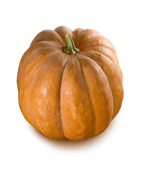 Isolated image of a ripe pumpkin close-up — Stock Photo, Image