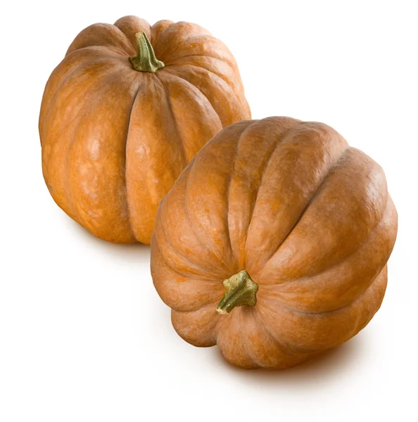 Isolated image of a ripe pumpkin close up — Stock Photo, Image
