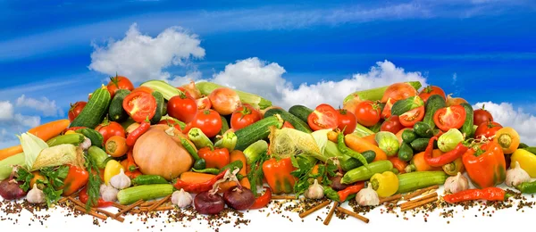 Imagen de muchas verduras crudas sobre un fondo de cielo — Foto de Stock