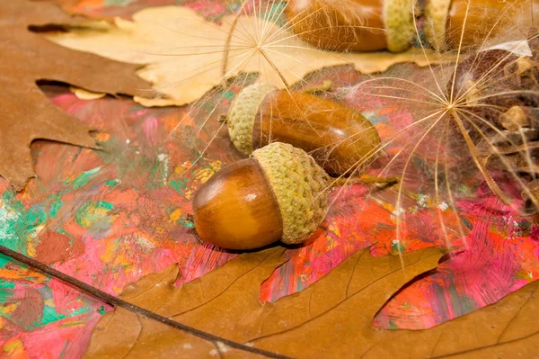 Immagine di ghianda, castagno e bumpon su sfondo multicolore primo piano — Foto Stock