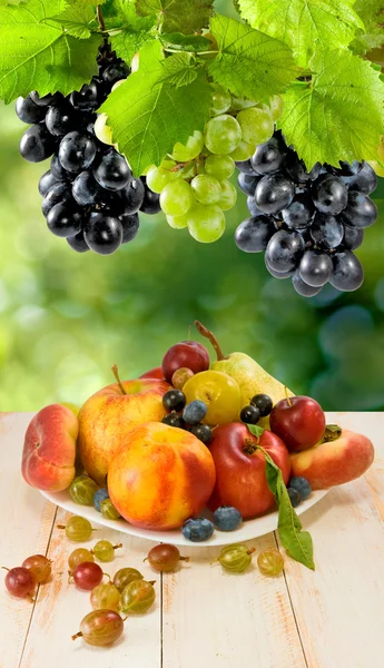 Image of fruit in the garden close-up — Stock Photo, Image