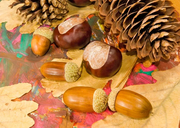 Image of acorn, chestnut and bumpon on a multicolored background — Stock Photo, Image