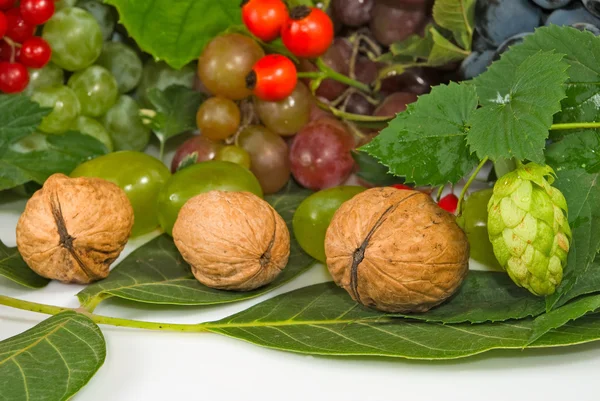 Immagine di bacche e noci primo piano — Foto Stock