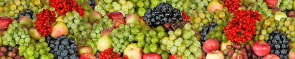 Imagem muitas frutas e bagas no jardim de perto — Fotografia de Stock