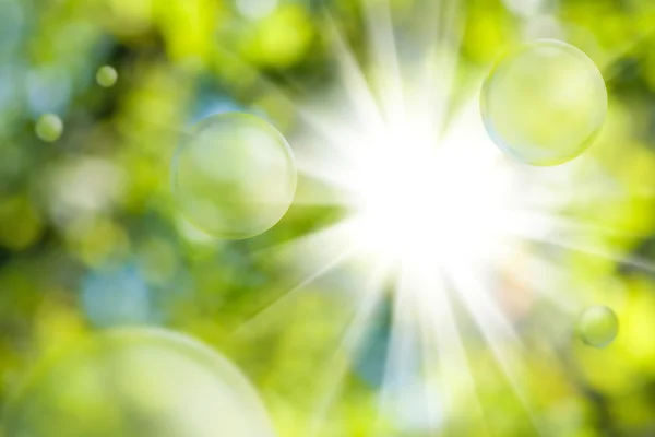 Sol brillante sobre fondo verde natural — Foto de Stock