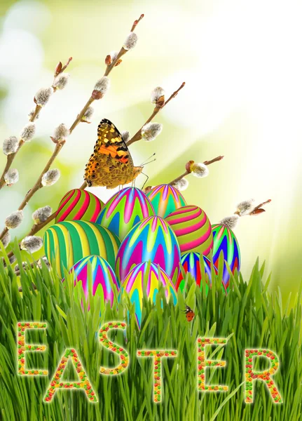 Easter eggs in the grass and butterfly closeup — Stock Photo, Image