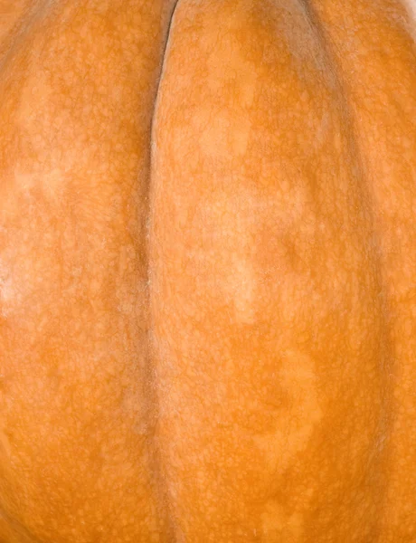 Image of a ripe pumpkin close up — Stock Photo, Image