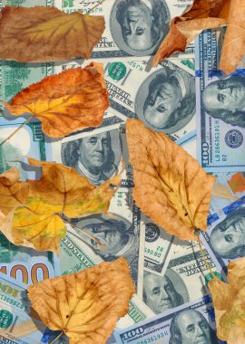 dolar ve sonbahar yaprakları portre