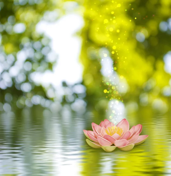 Imagen de una flor de loto sobre el agua sobre fondo verde — Foto de Stock