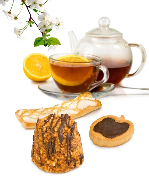 Isolated image of a cup of tea and cookies closeup — Stock Photo, Image