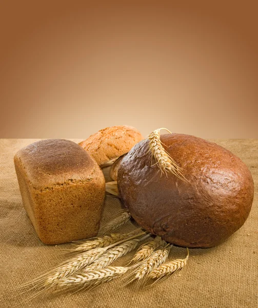 Afbeelding van brood en tarwe closeup — Stockfoto