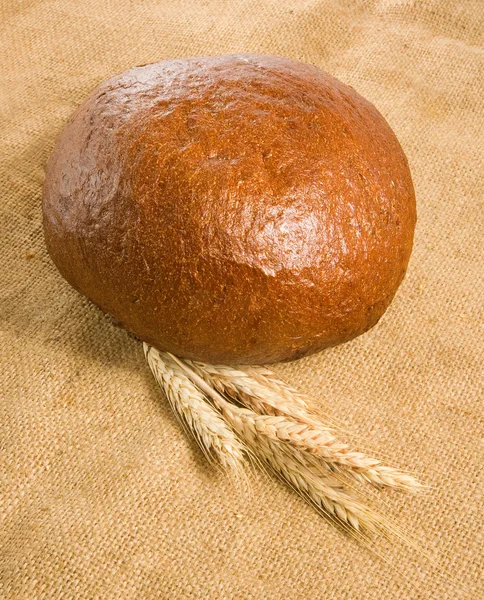 Image of bread and wheat closeup — Stock Photo, Image