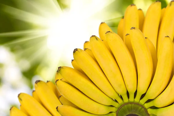 Geïsoleerd beeld van een banaan op witte achtergrond — Stockfoto