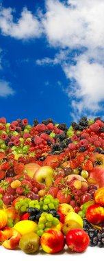 birçok olgunlaşmış meyve yakın çekim görüntüsü