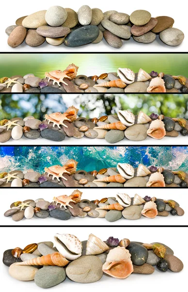 Imagen aislada de muchas piedras y conchas marinas sobre un fondo blanco —  Fotos de Stock