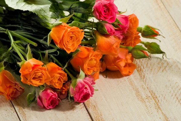 Image de belles fleurs de roses gros plan — Photo