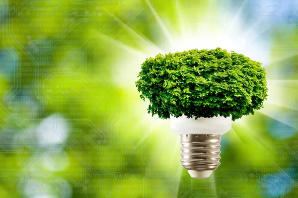 Imagem de árvore em uma lâmpada em um fundo verde close-up — Fotografia de Stock