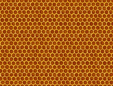 Petek closeup görüntüsünü